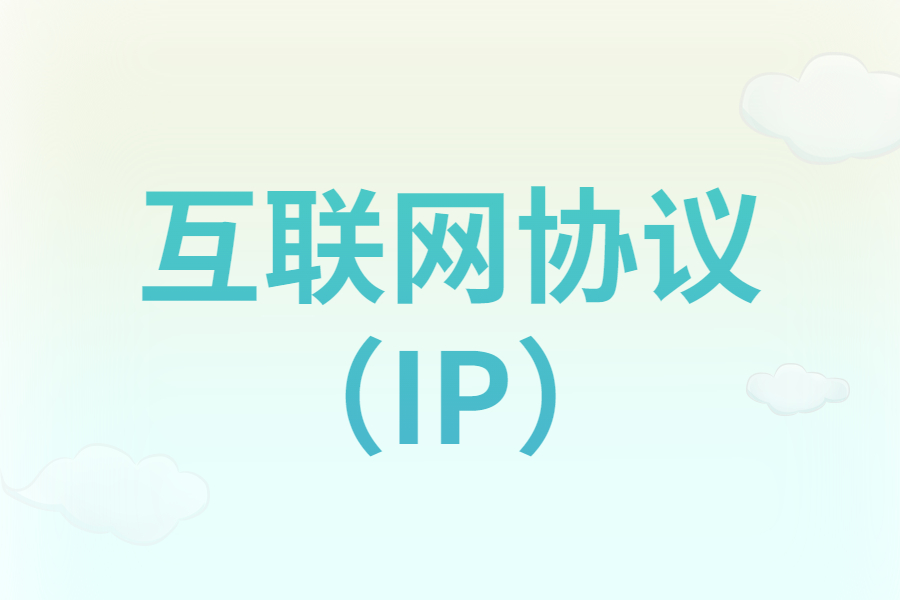 “互联网协议（IP）”指的是什么？