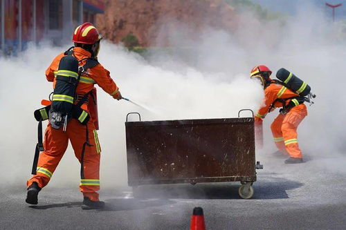 安全过户：合规流程+技术保障，让交易全程无忧