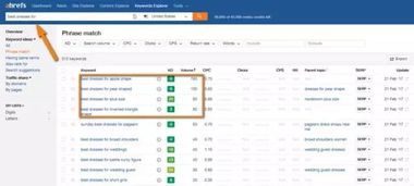 删余域名：24小时“窗口期”的流量争夺战，实时监控是关键