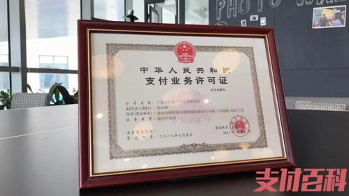 资质齐全是底线：专业域名回收机构必须具备哪些“硬通货”？